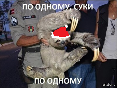 О письмах Санте =)