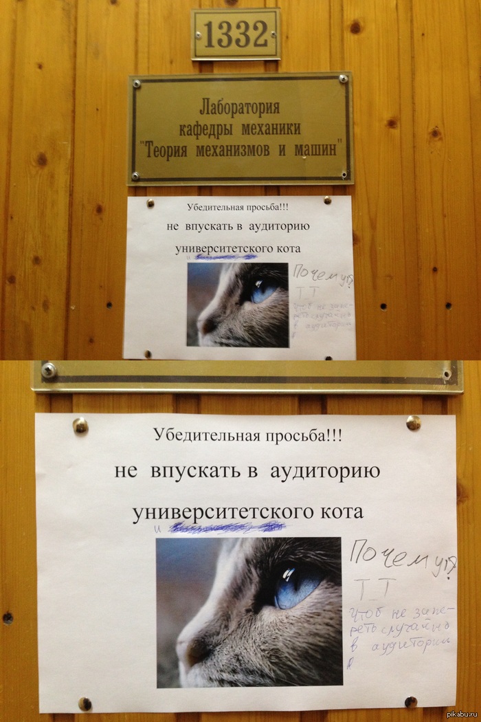 ������? T_T