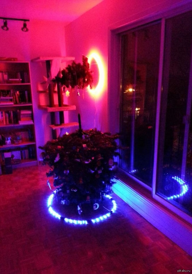 ������ � ���� ��� �������� ���� �� ��������� ���