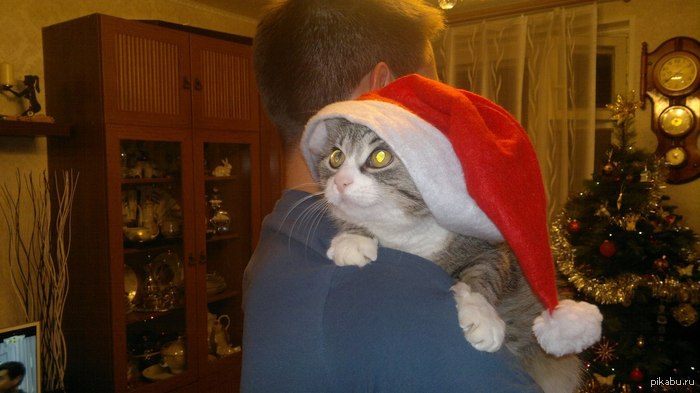 ��� �������� � ������ ���� ������!