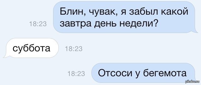 На смену приходят. Суббота отсоси у бегемота,а воскресенье. Подъеб на слово Здравствуй. Пикч со словами подьеб засчитан?.