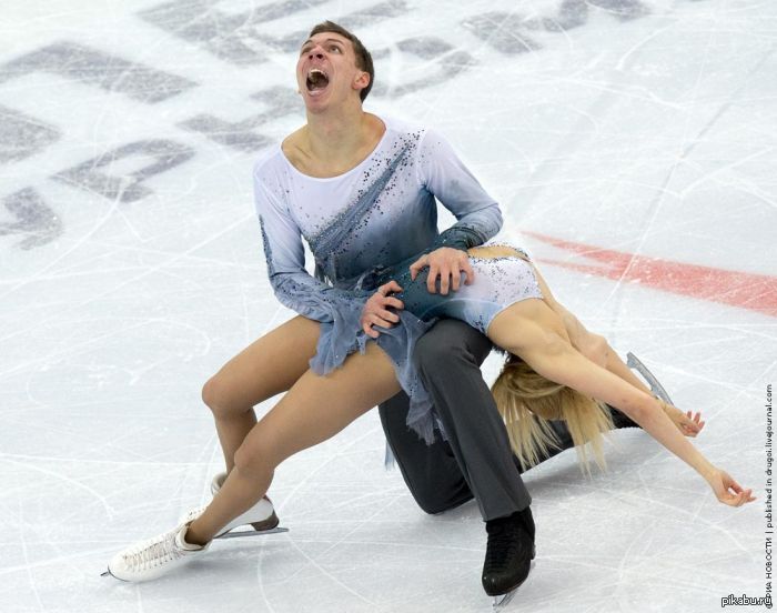 ����������...