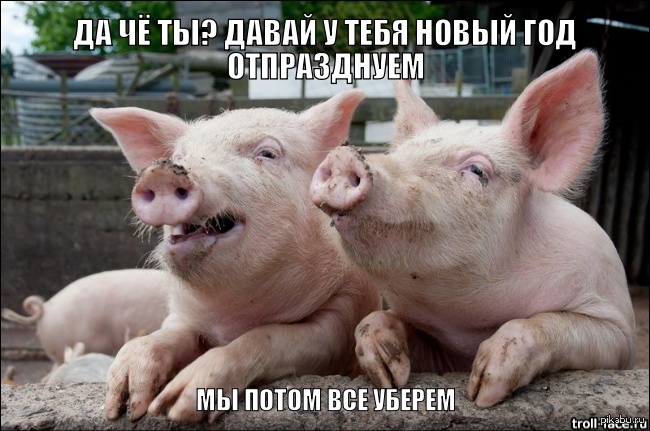 В связи с НГ