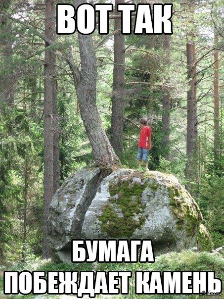 Вот... | Пикабу