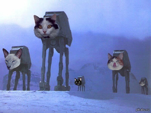 Кота эпизод. Cat Star Wars кот эпизод 2. Звёздные войны кот Лотос. Лунная кошка Звездные войны. Кот эпизод фильм.