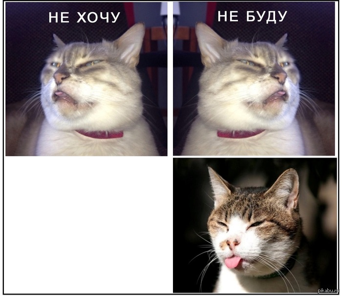 ���� ��� ��� �������� ���-���� :) ����� ����� ��� ������ ������������