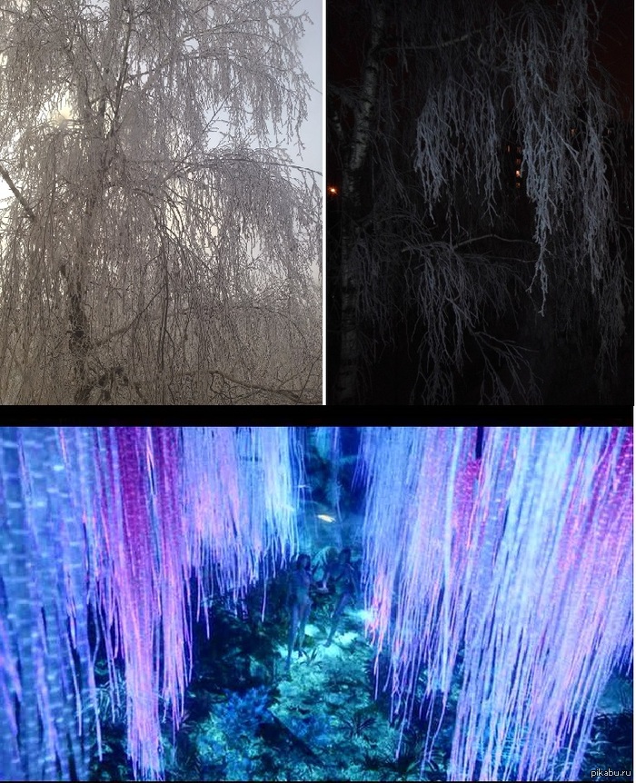   ()   -   