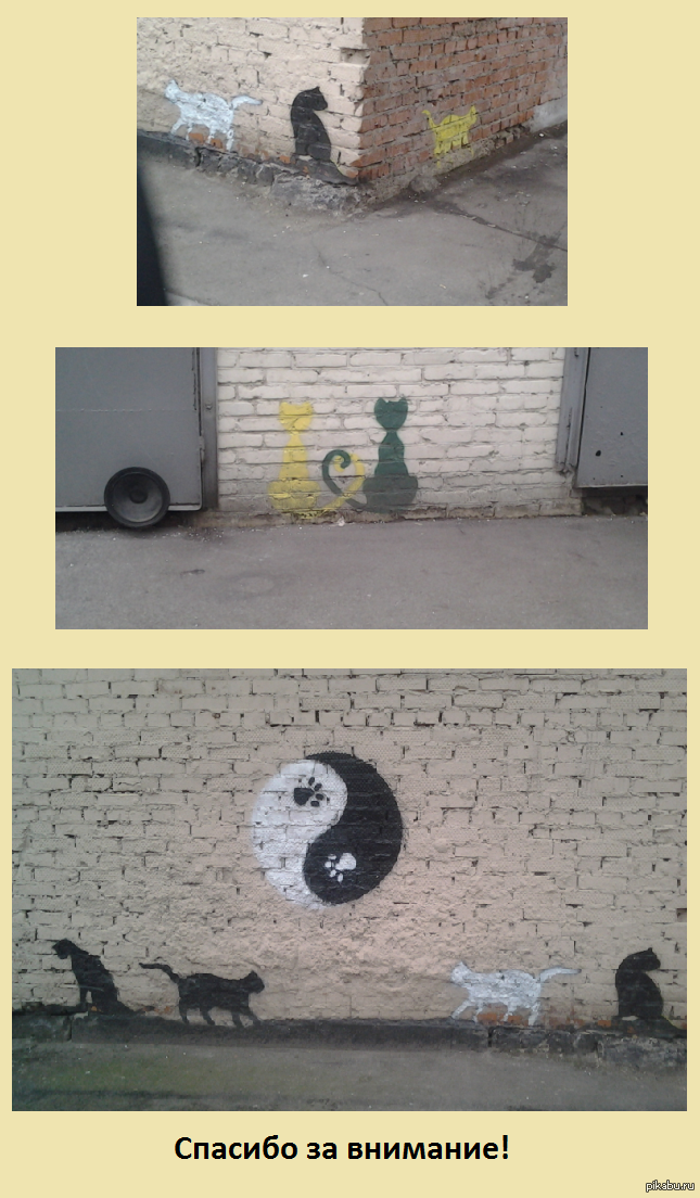 Искал снег, для того чтобы поиграть в снежки, а нашел котиков.