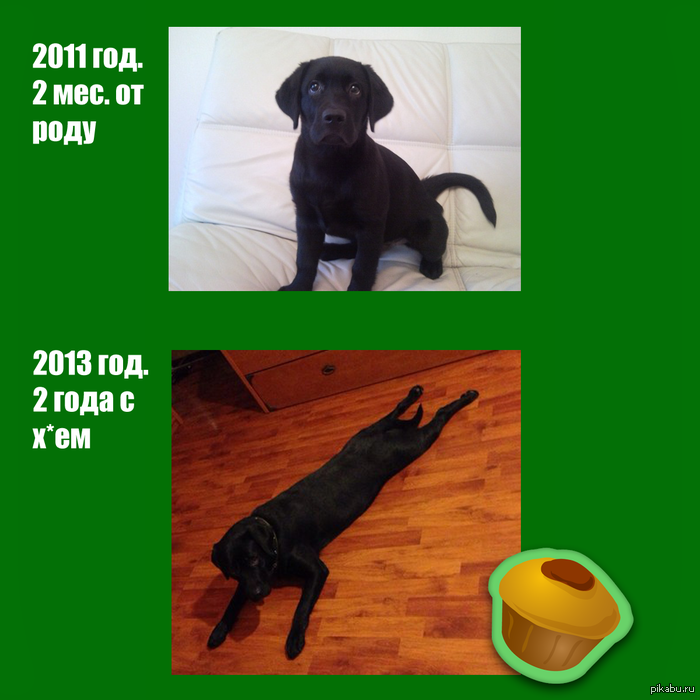 ��� �� ������ ��� ������ =)