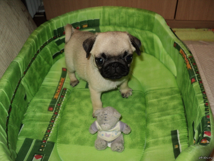 ��� ����� ���� ^_^