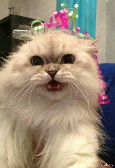 ������ ��������� - ��� �