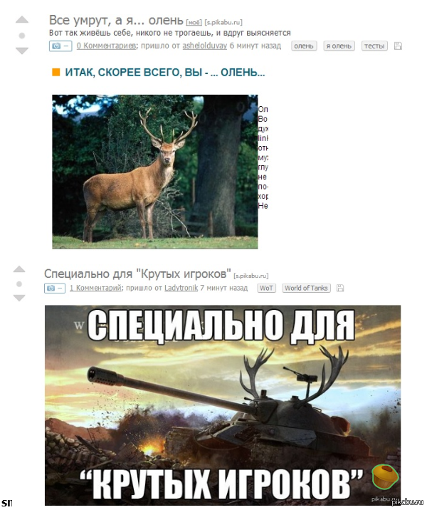 Олень | Пикабу