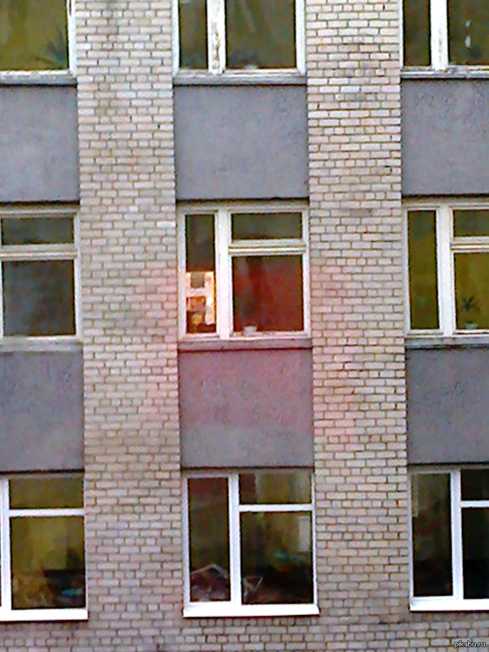 ���� �������