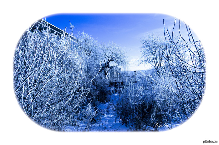 мои работы вам на суд!