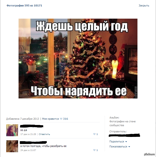 And about the upcoming - New Year, Christmas trees, In contact with