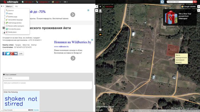 ���� ����� ����