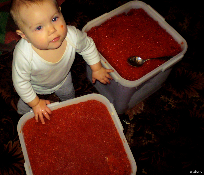 Хороша жизнь на Чукотке