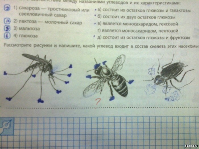 Очень интересный был урок.