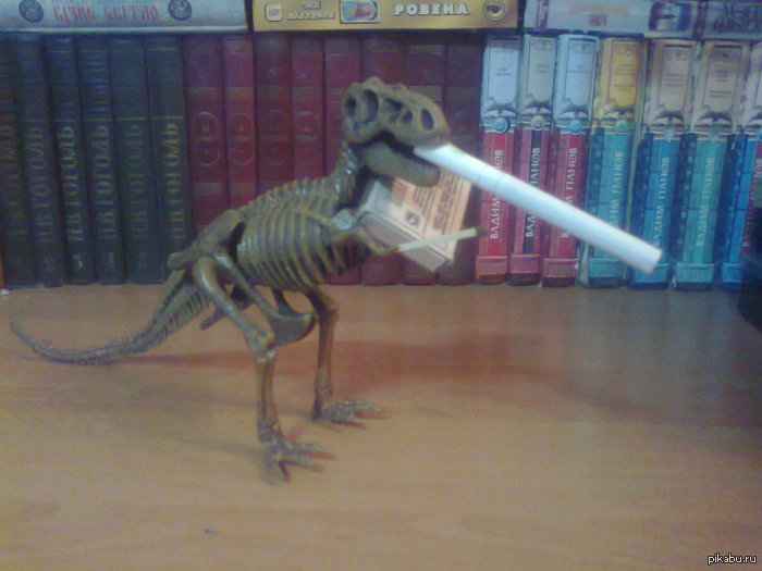 ������� �������� ���������� ������������.