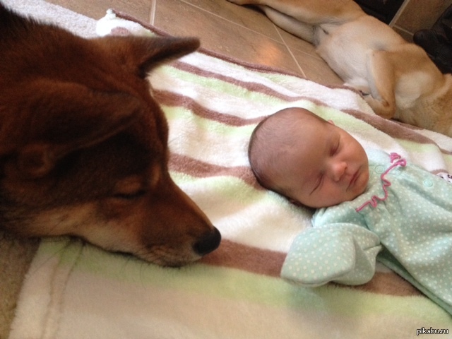     2  .    ,          - .