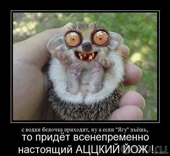Как то так! | Пикабу