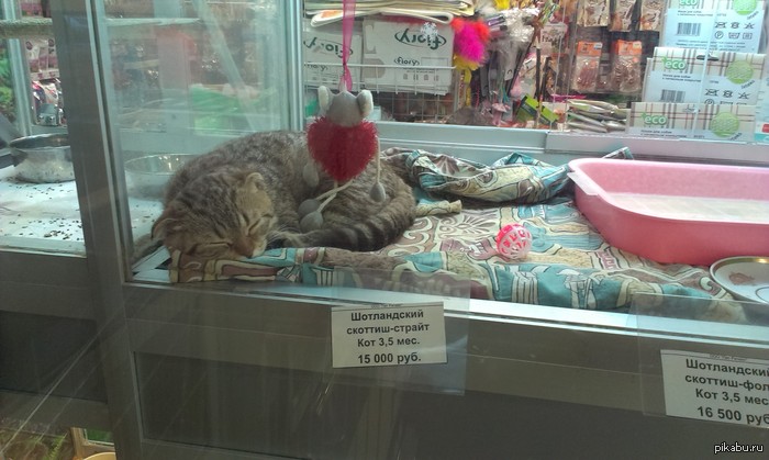 Аж купить захотелось