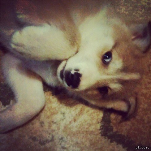 Лайки прекрасны=)