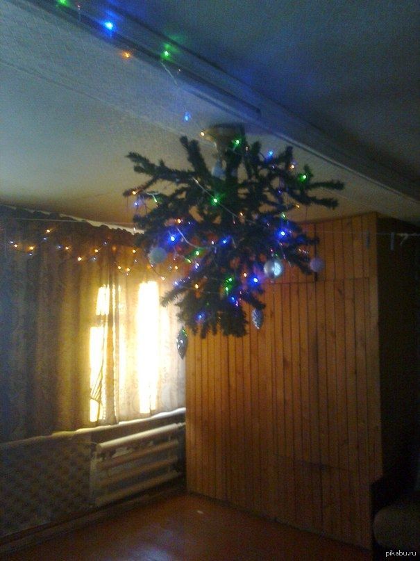 этот момент, когда у тебя дома много котов и кошек...