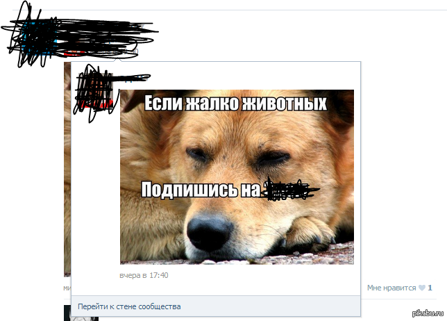 ���� ���������