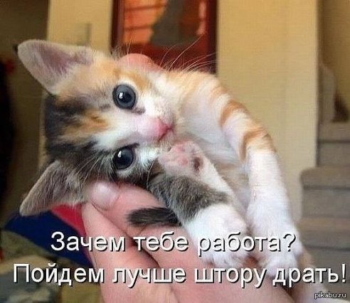 а и правда )