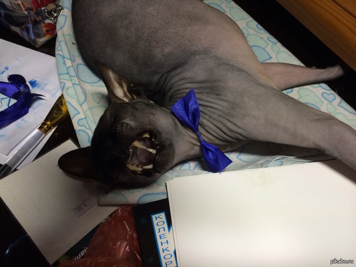 ������������ ��� :'D