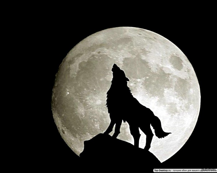 Да! Именно такой я буду На Новый Год!