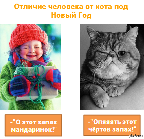 ������� �������� �� ���� ��� ����� ���