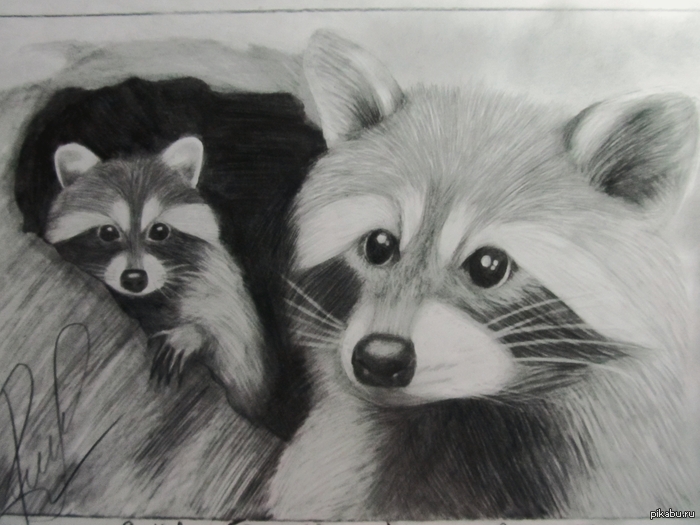 ���� ������)