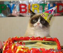 �������� ��������!   ���� Pikabu ������ � ����.