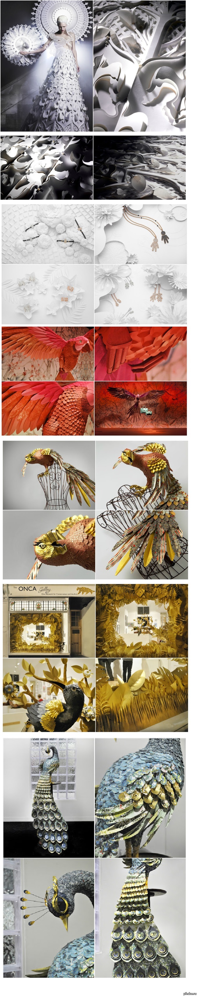      Julie Wilkinson  Joyanne Horscrof.