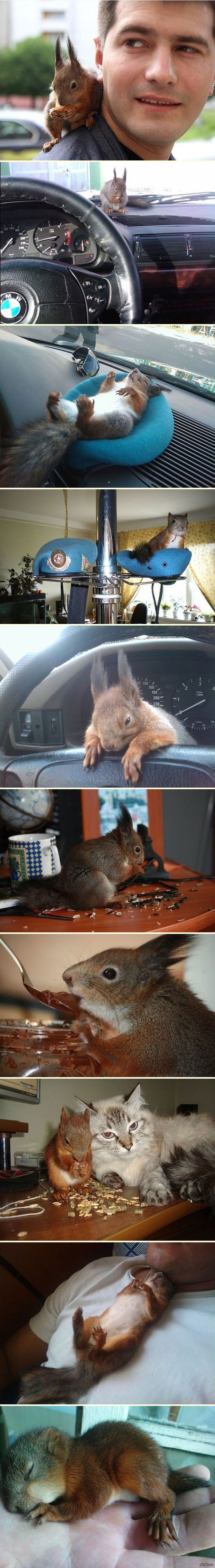 �������� �������� �������� ��������