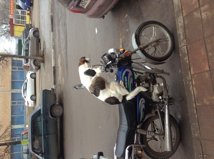 Просто Россия, нечего удивляться