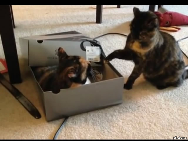 �������� ���������� ����� �� 2014 ���.