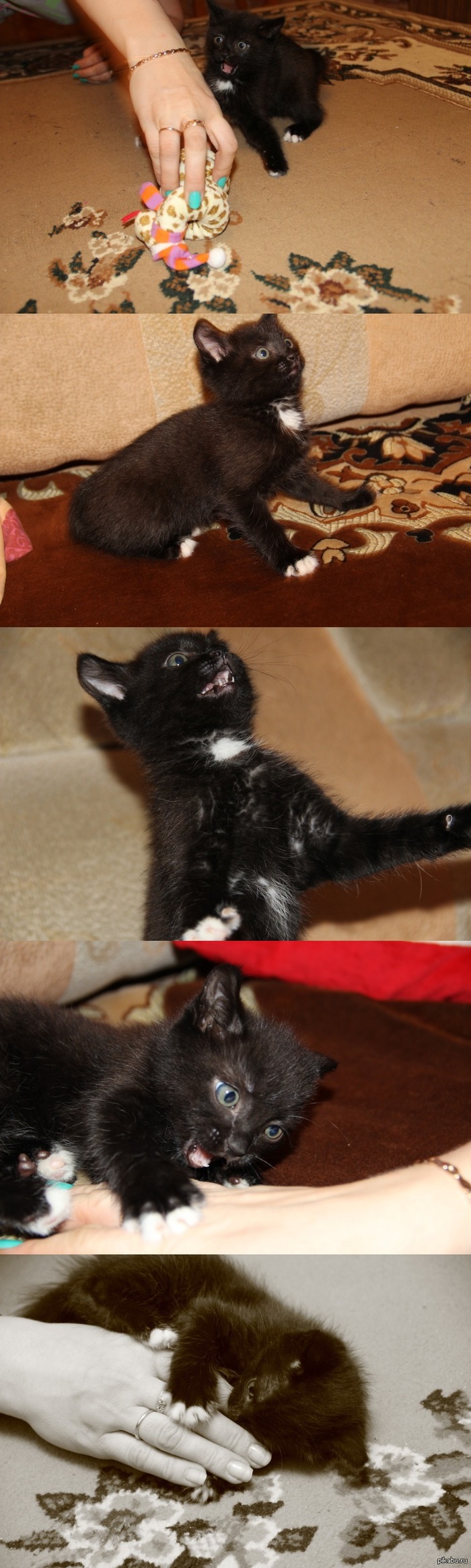 И не трогай мои игрушки! Не трогай, говорю! =)