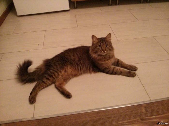 ������ ������������ �����! ����������� ��� ������� ������