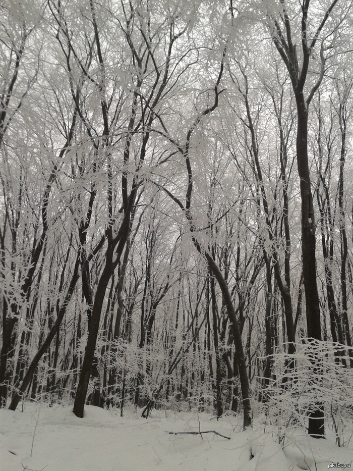 Зима в Самаре.