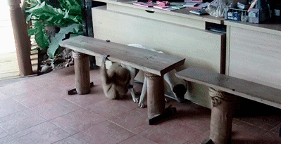 Прочь, 2013-й! С наступающим 2014-м всех вас!!!