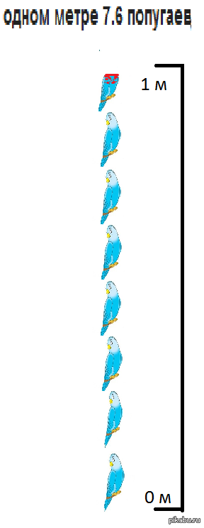    7.6  