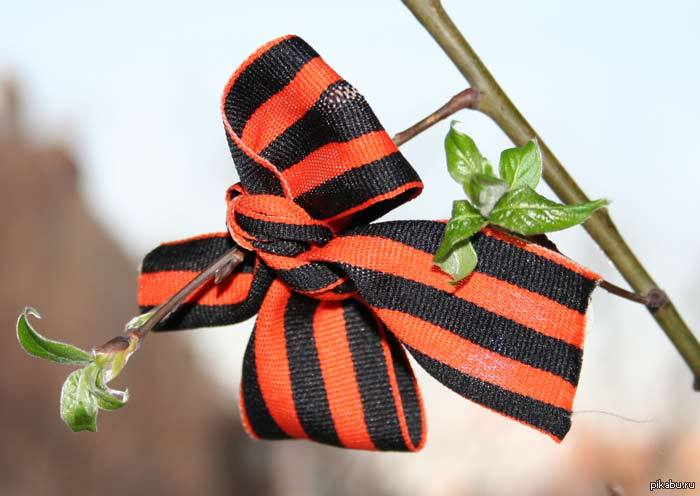 ������ �� ������ ���� ����.