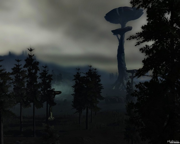      Apolost    
