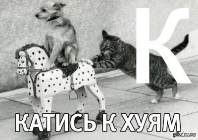 Na Sluchaj Vazhnyh Peregovorov Pikabu