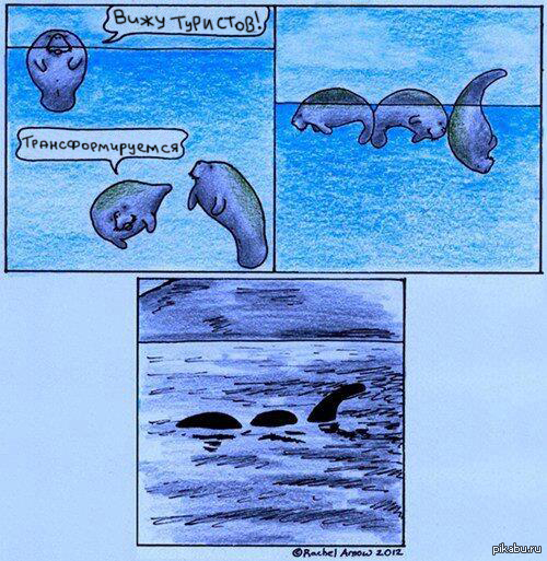 Rocket Manatee Comic
