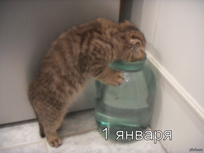 ���� 1 ������