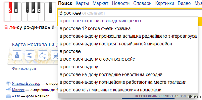 Дикие коты Ростова-на-Дону